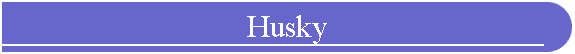 Husky